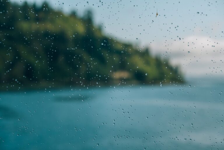 Rain droplets on an apartment window with evergreen trees outside on a gray Seattle day