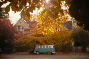 A row of rental homes on a Seattle residential street on a rainy autumn day