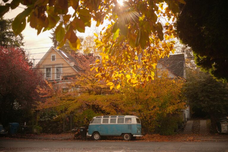A row of rental homes on a Seattle residential street on a rainy autumn day